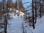bscarp17 009